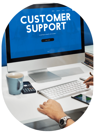 WordPress Development